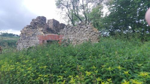 Verlassene Ruine in Borgholzhausen
