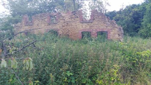 Verlassene Ruine in Borgholzhausen